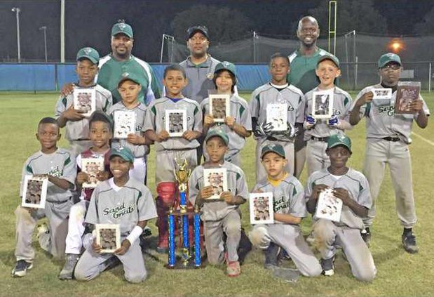 LibertySandGnats