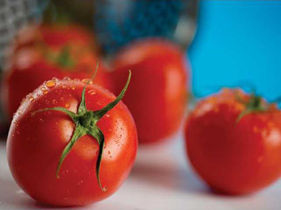 tomato