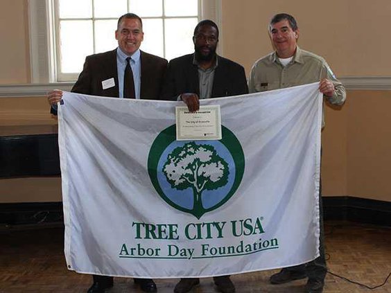 tree-city-Hinesville
