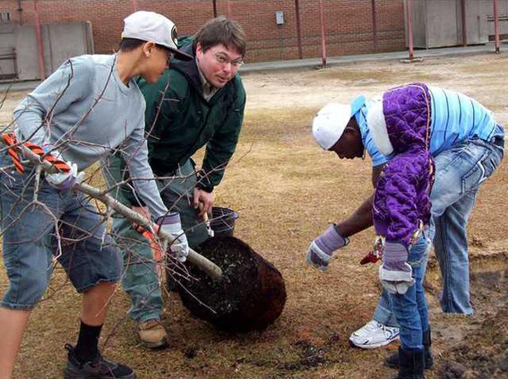 MTS tree planting Feb 7 and 8 044
