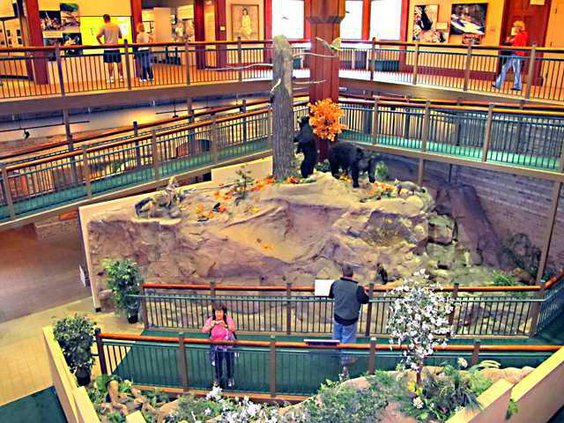 wildlife exhibit in interpretive center