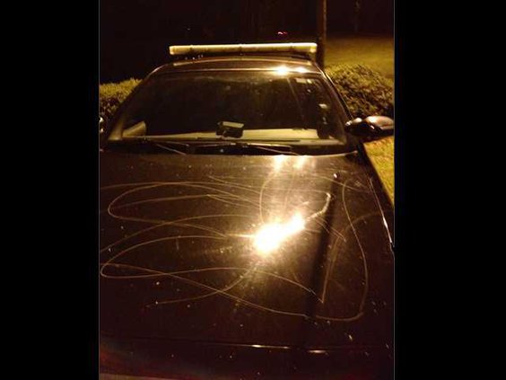 walthourville PD car damaged