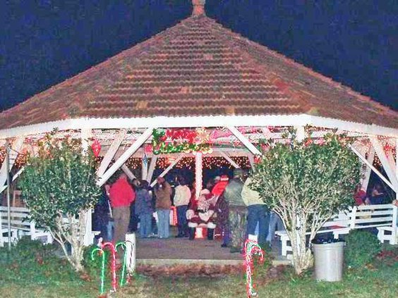 1 Long Co Tree Lighting