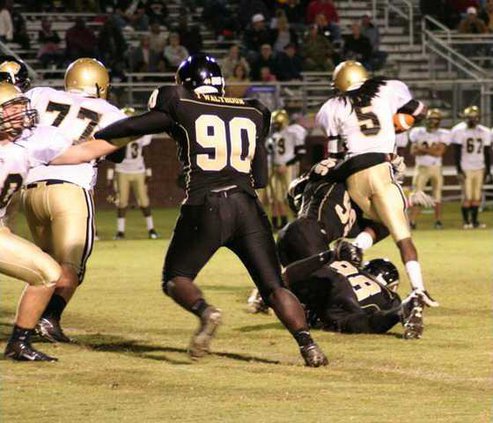 Panthers1