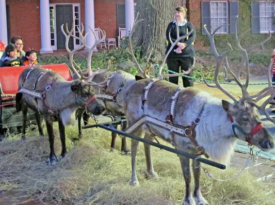 5Santas reindeer