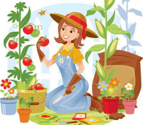 tomatogarden
