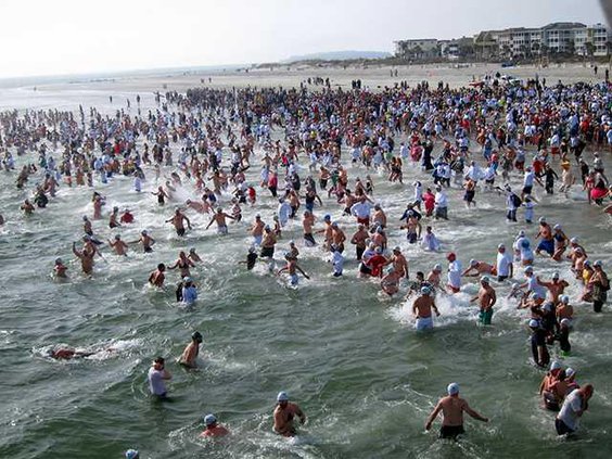 polarplunge