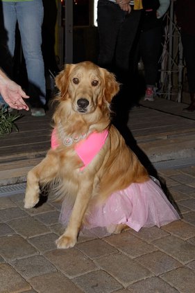 Breast Cancer awareness.jpeg