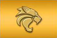 wildcats logo new
