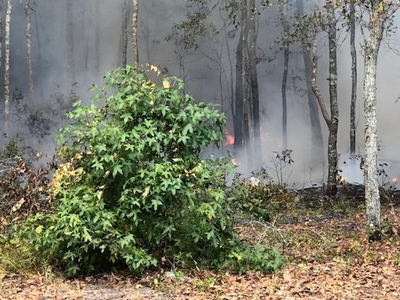 wollard way fire 1